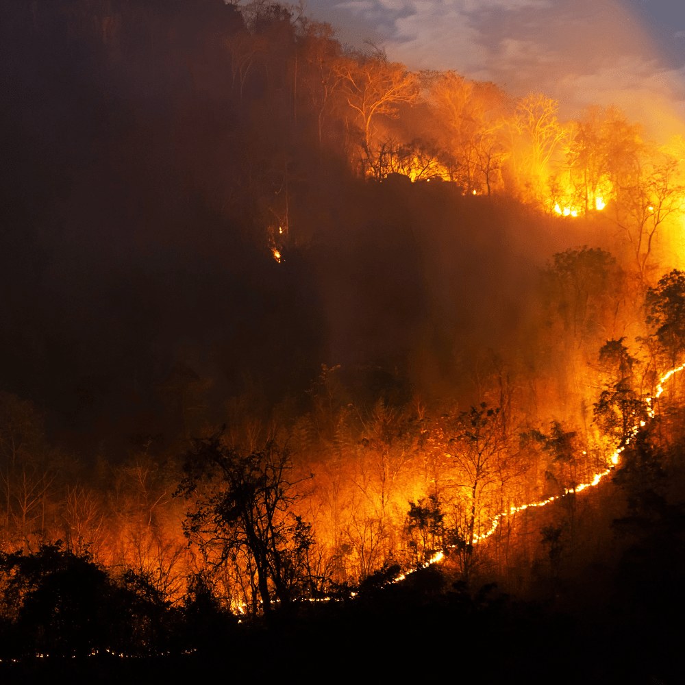 Ember Stopper protective cover concept at a home